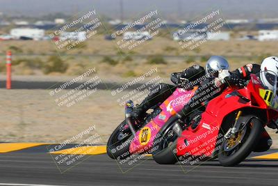 media/Feb-04-2023-SoCal Trackdays (Sat) [[8a776bf2c3]]/Turn 11 (945am)/